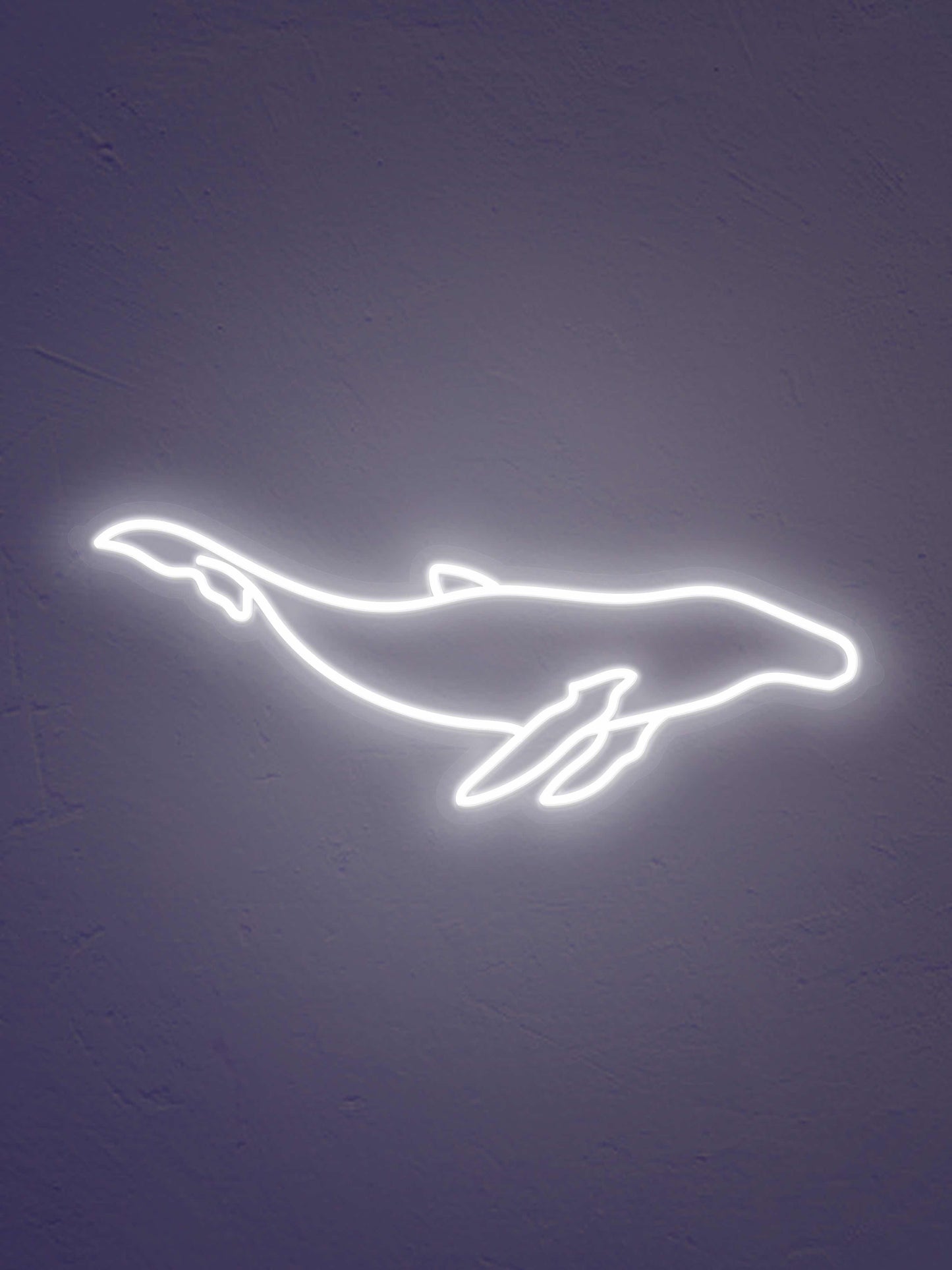 Blue Whale