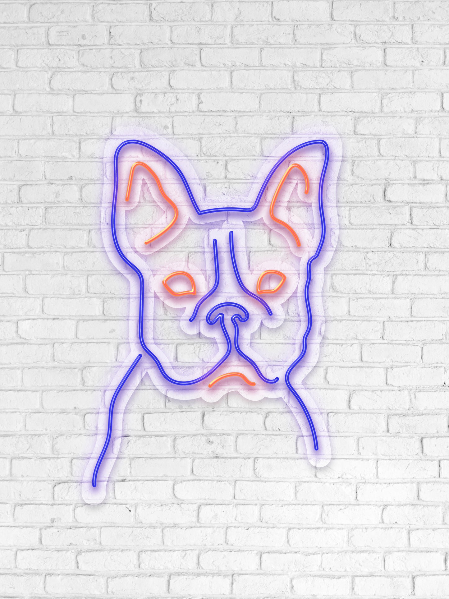 Frenchie