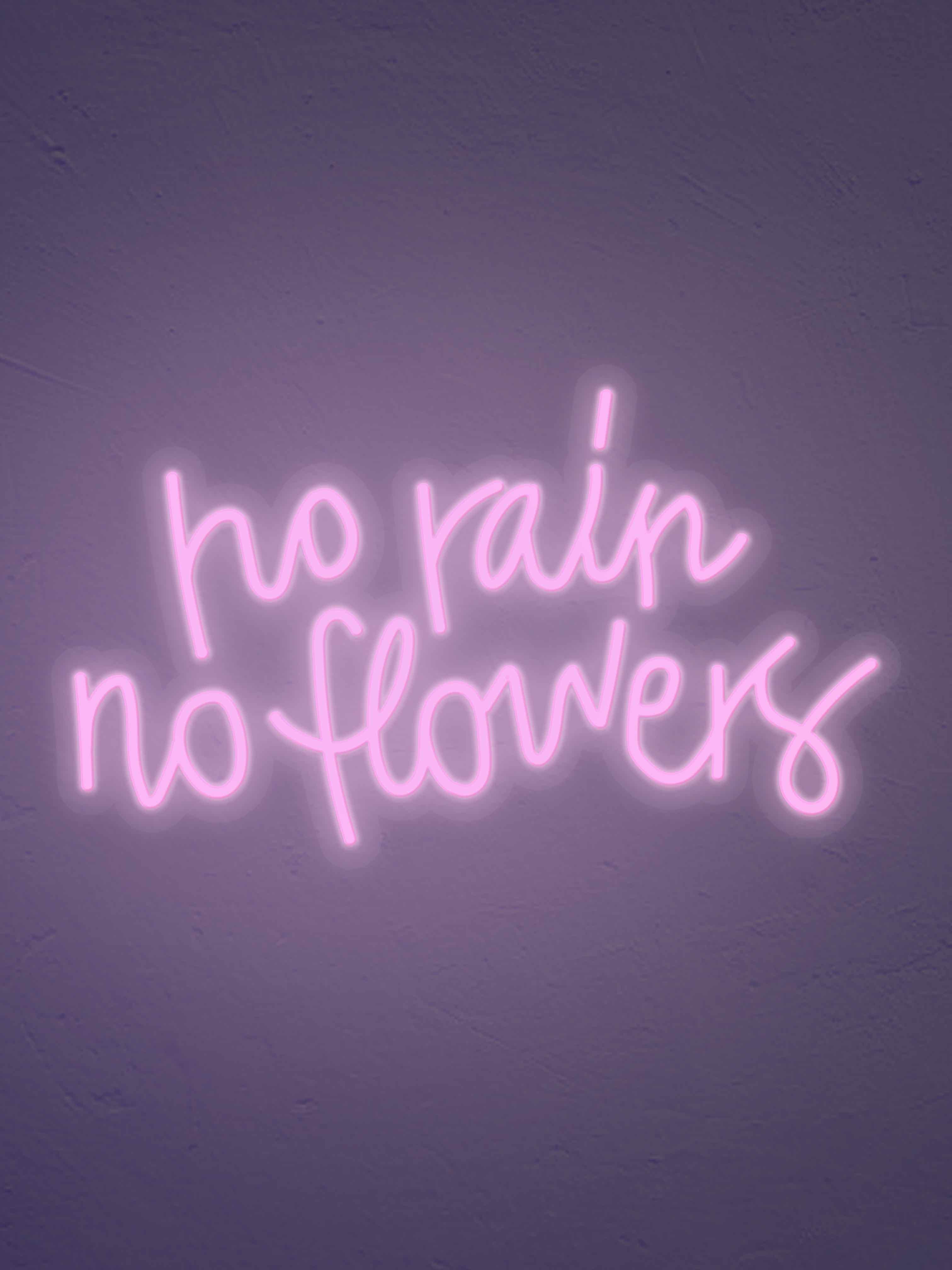 No Rain No flowers