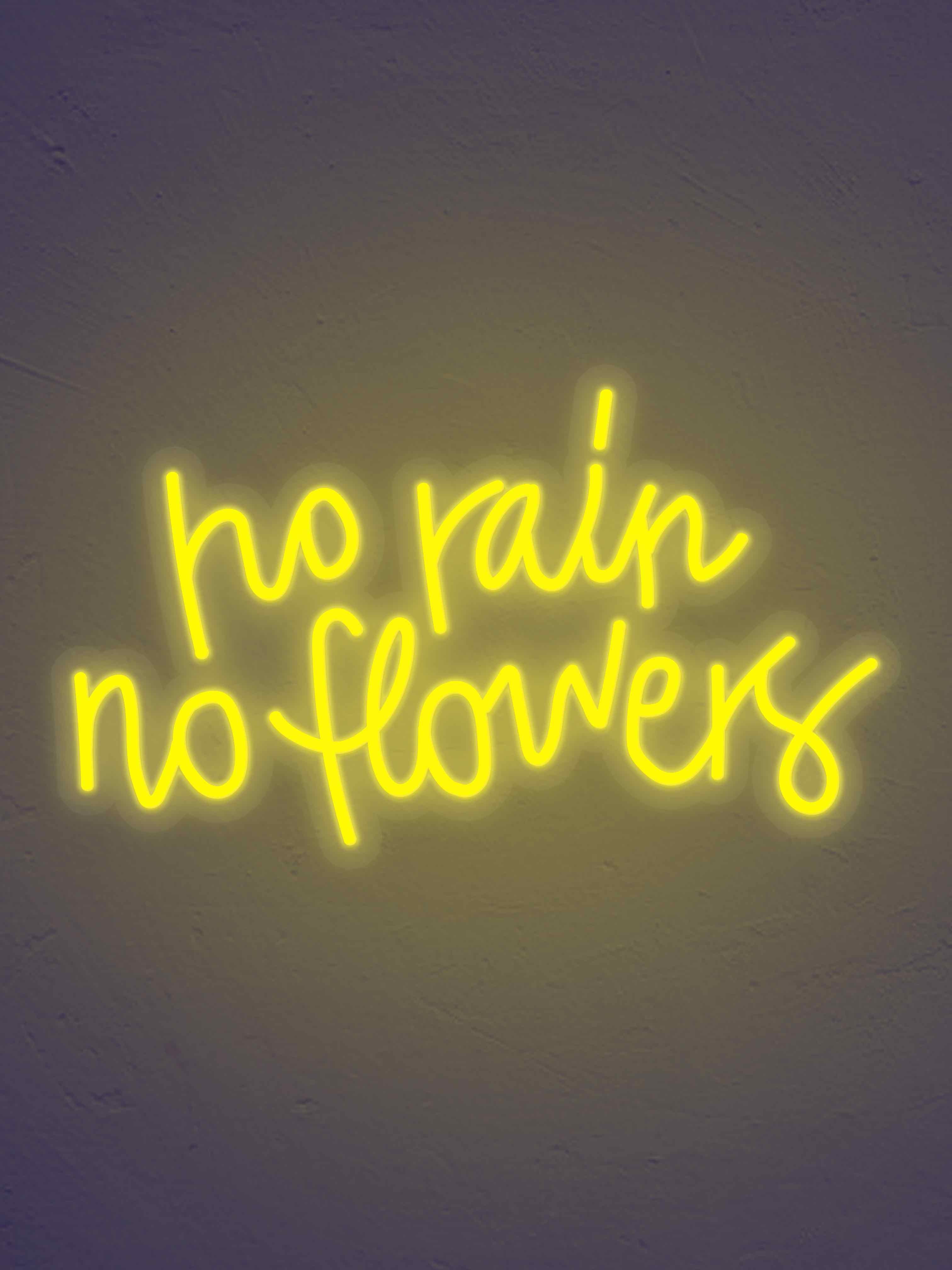 No Rain No flowers