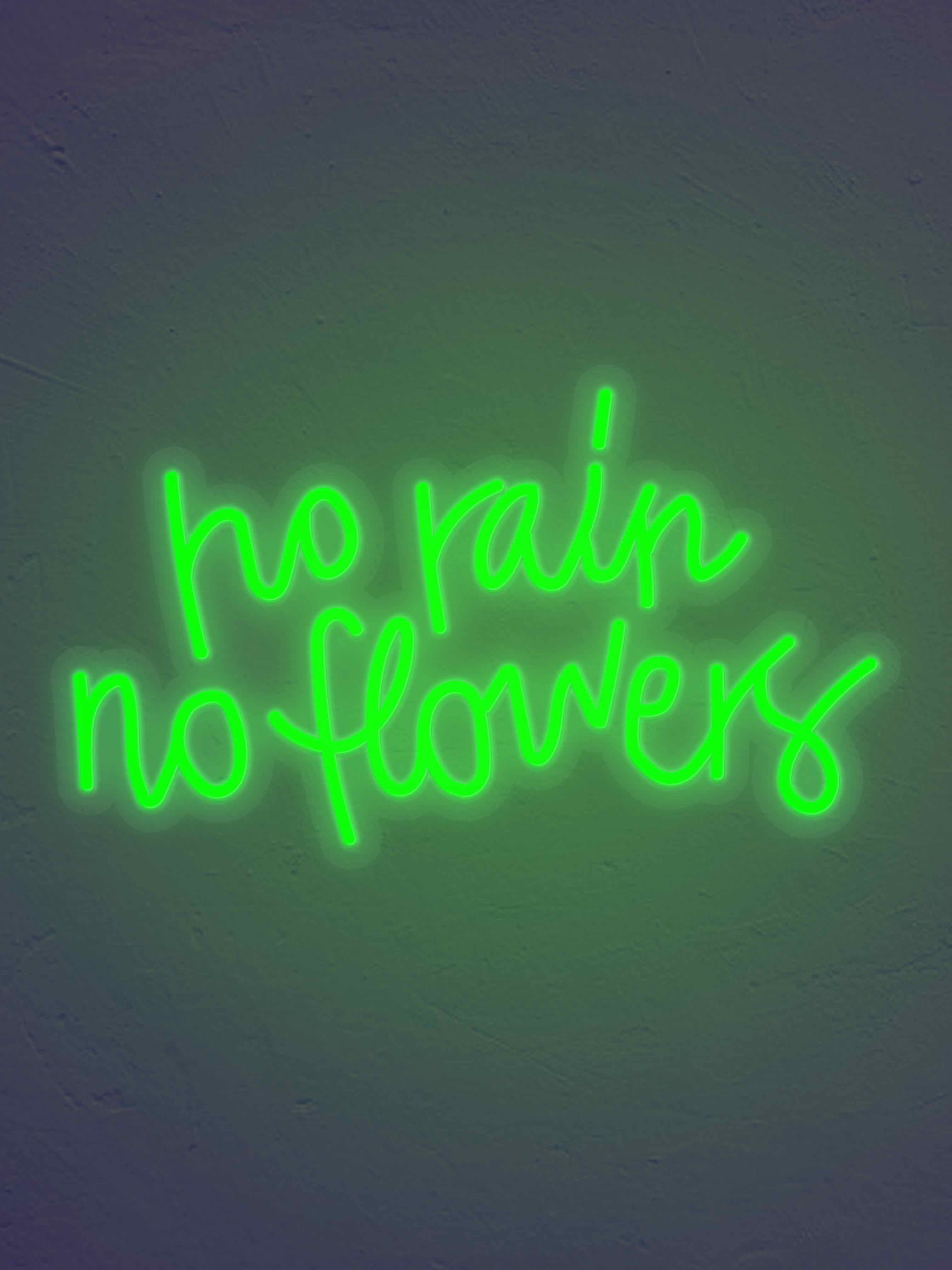 No Rain No flowers