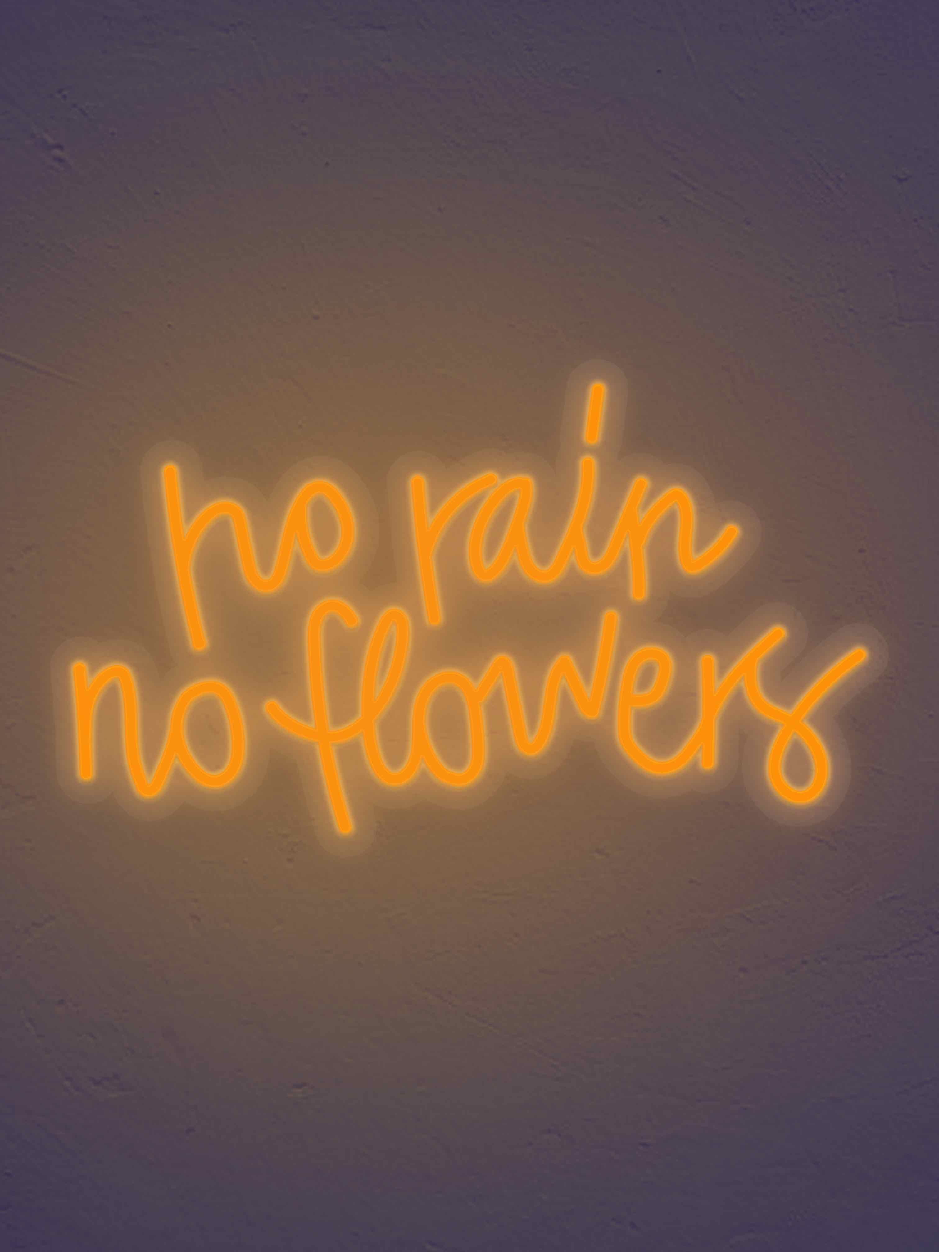 No Rain No flowers