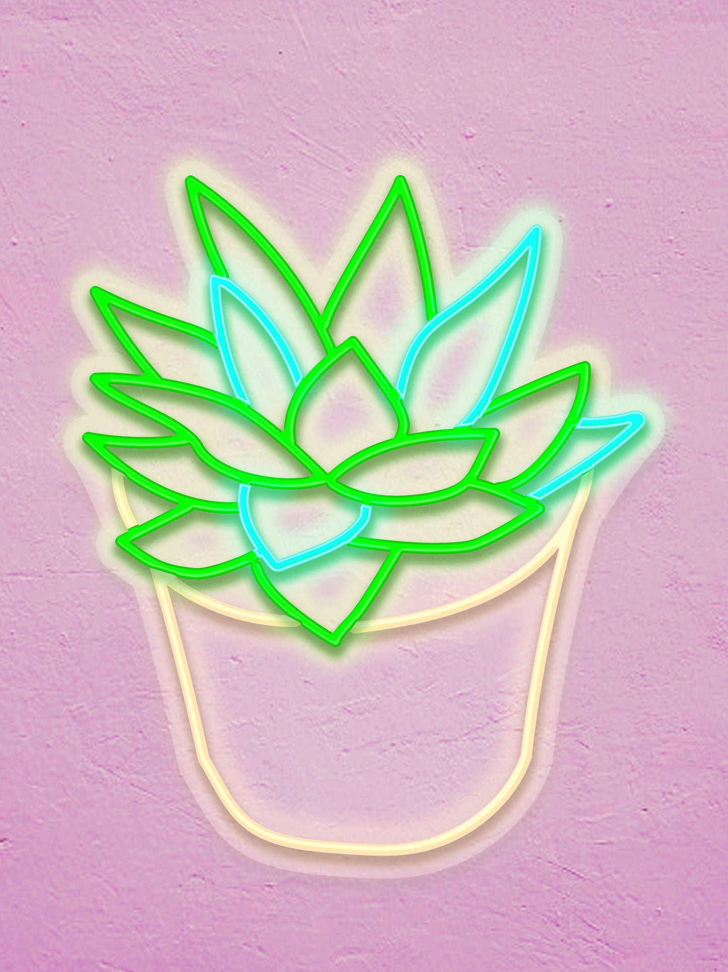 Potted Plant