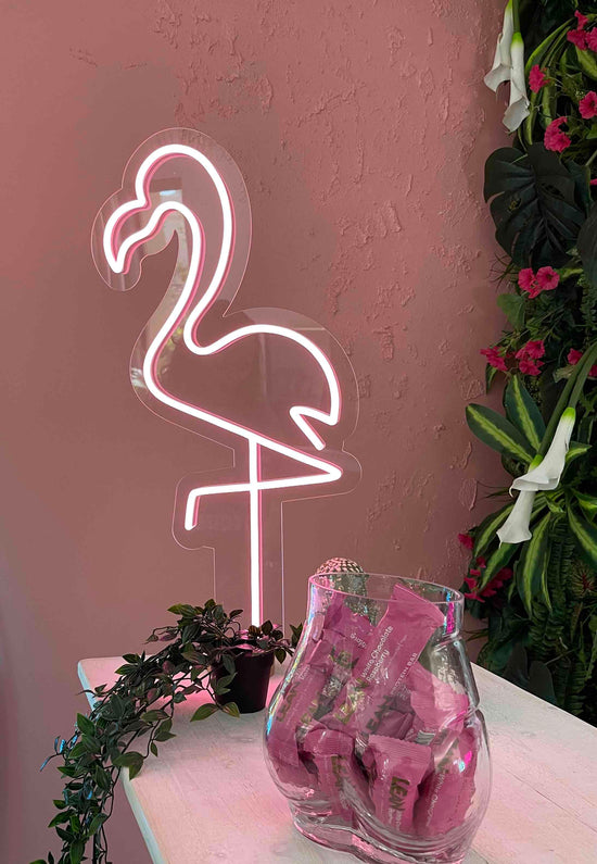 Rent Flamingo