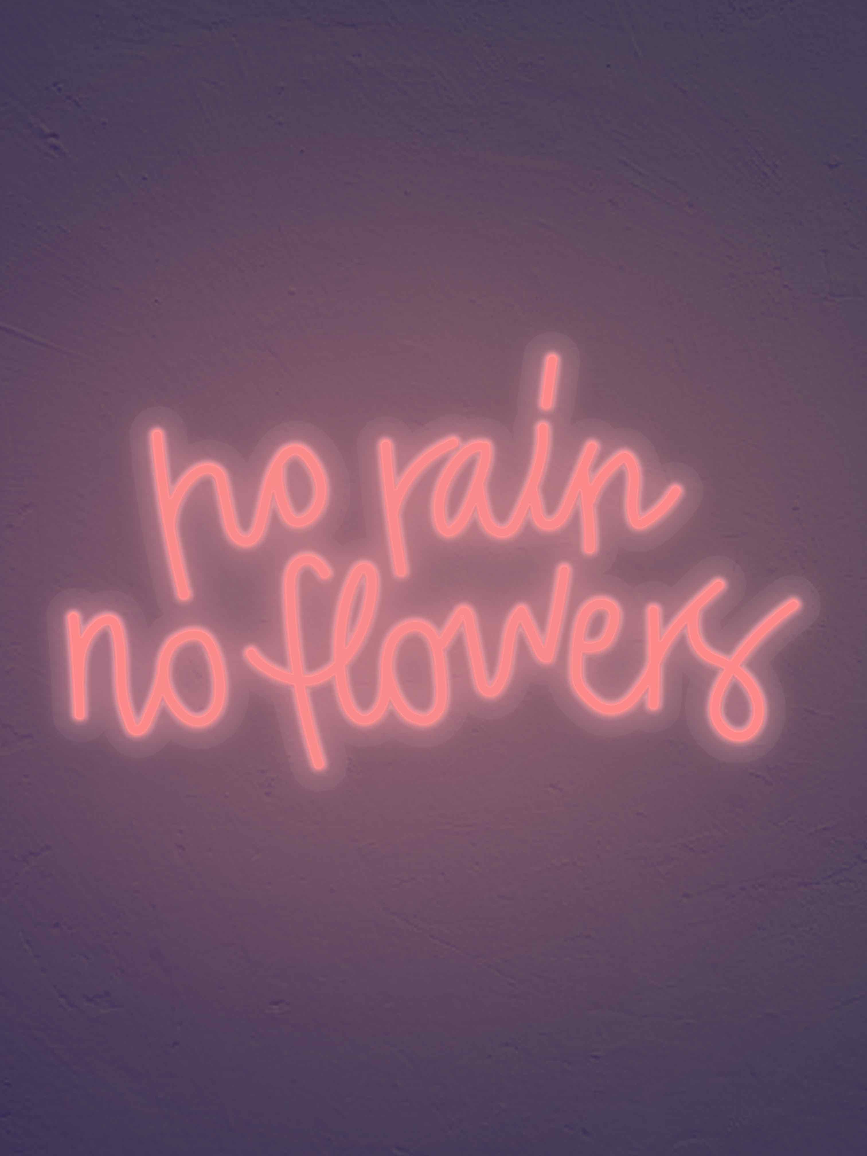 No Rain No flowers
