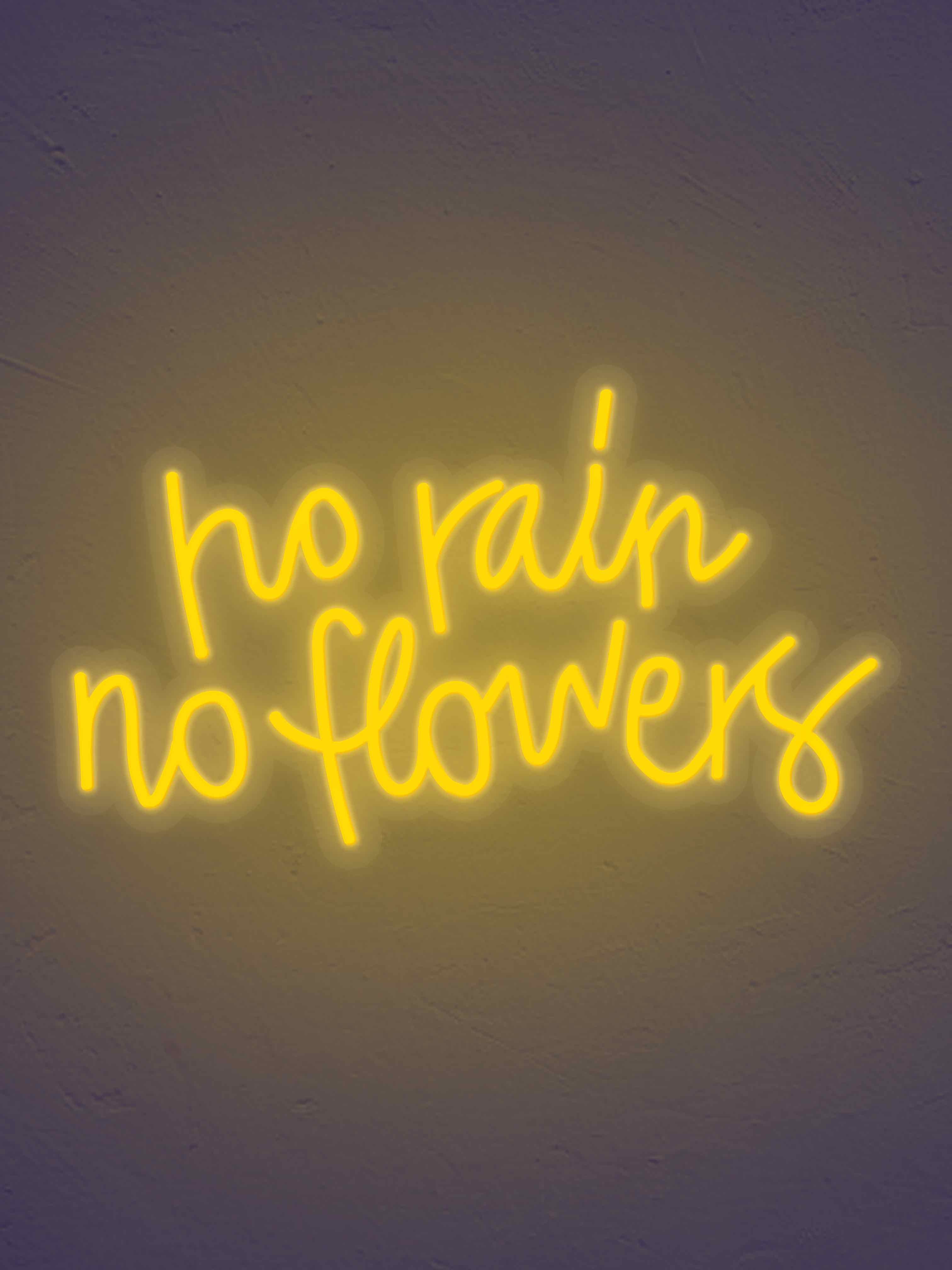 No Rain No flowers