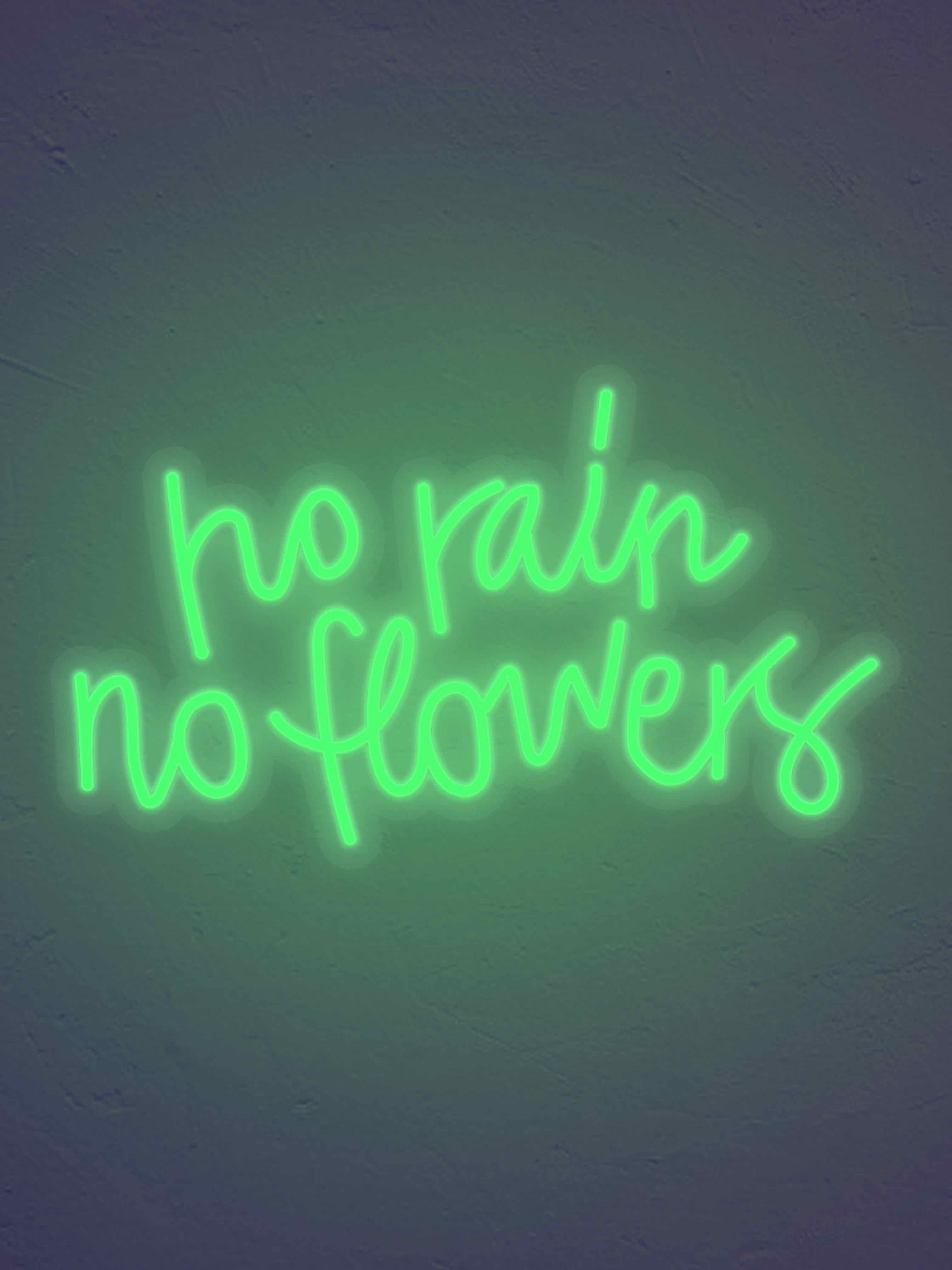 No Rain No flowers