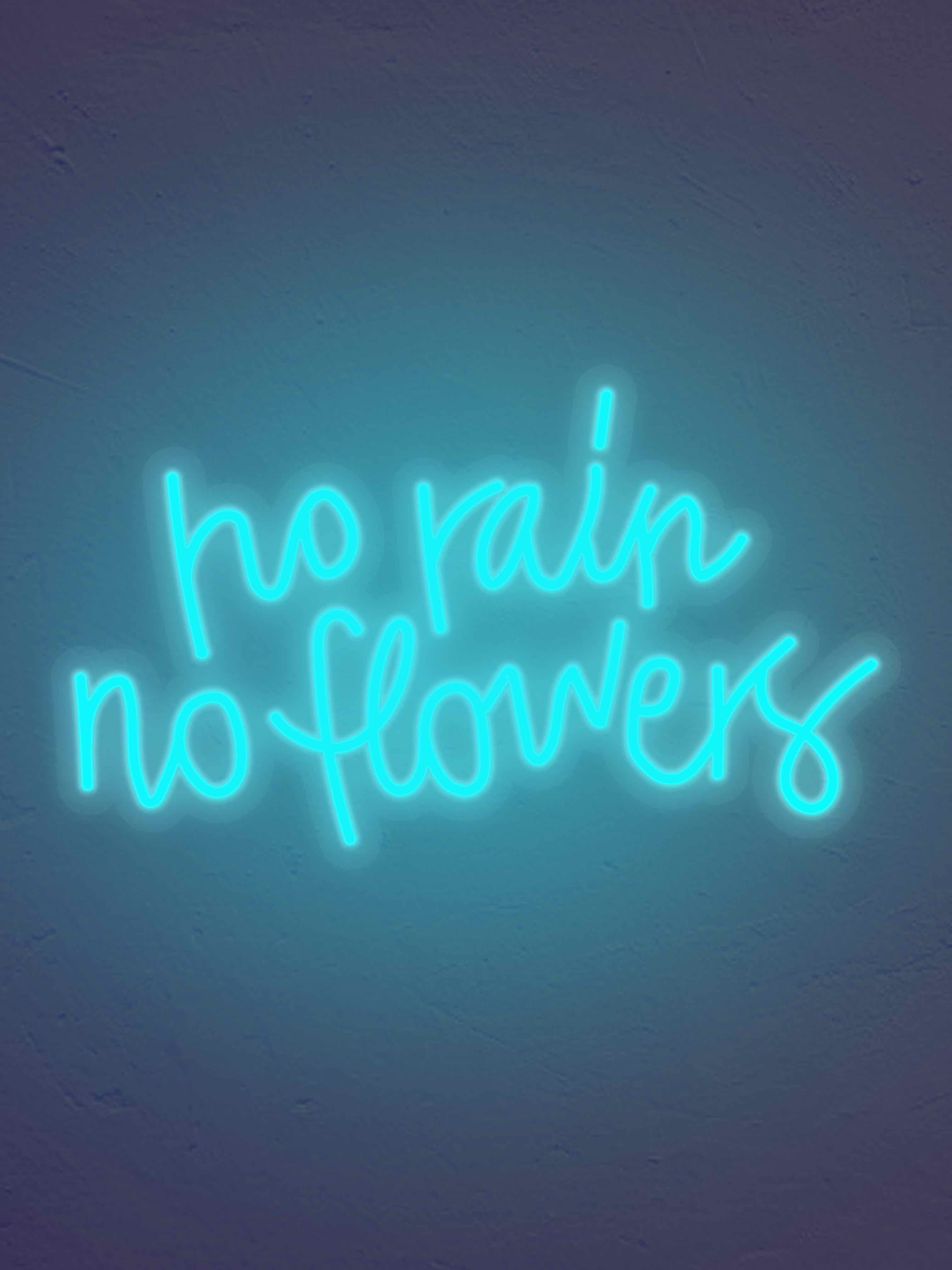 No Rain No flowers