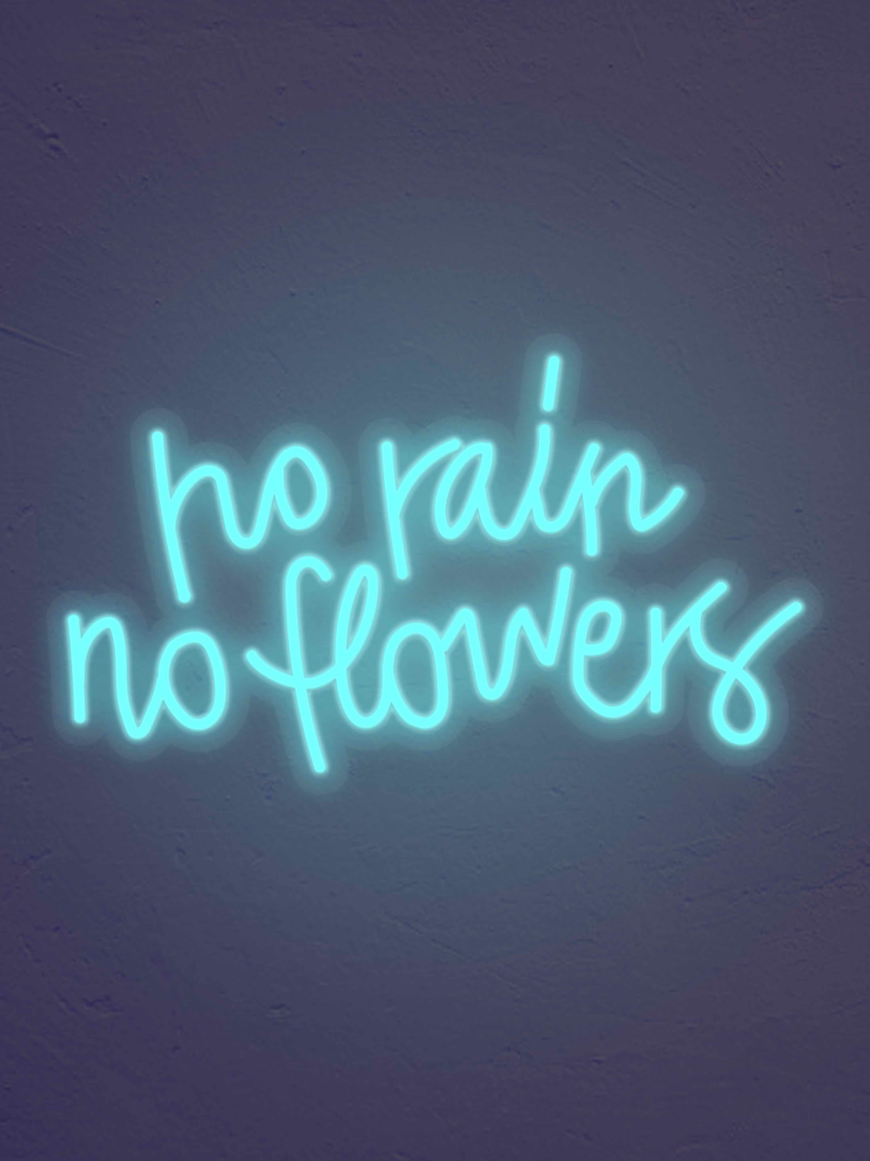 No Rain No flowers