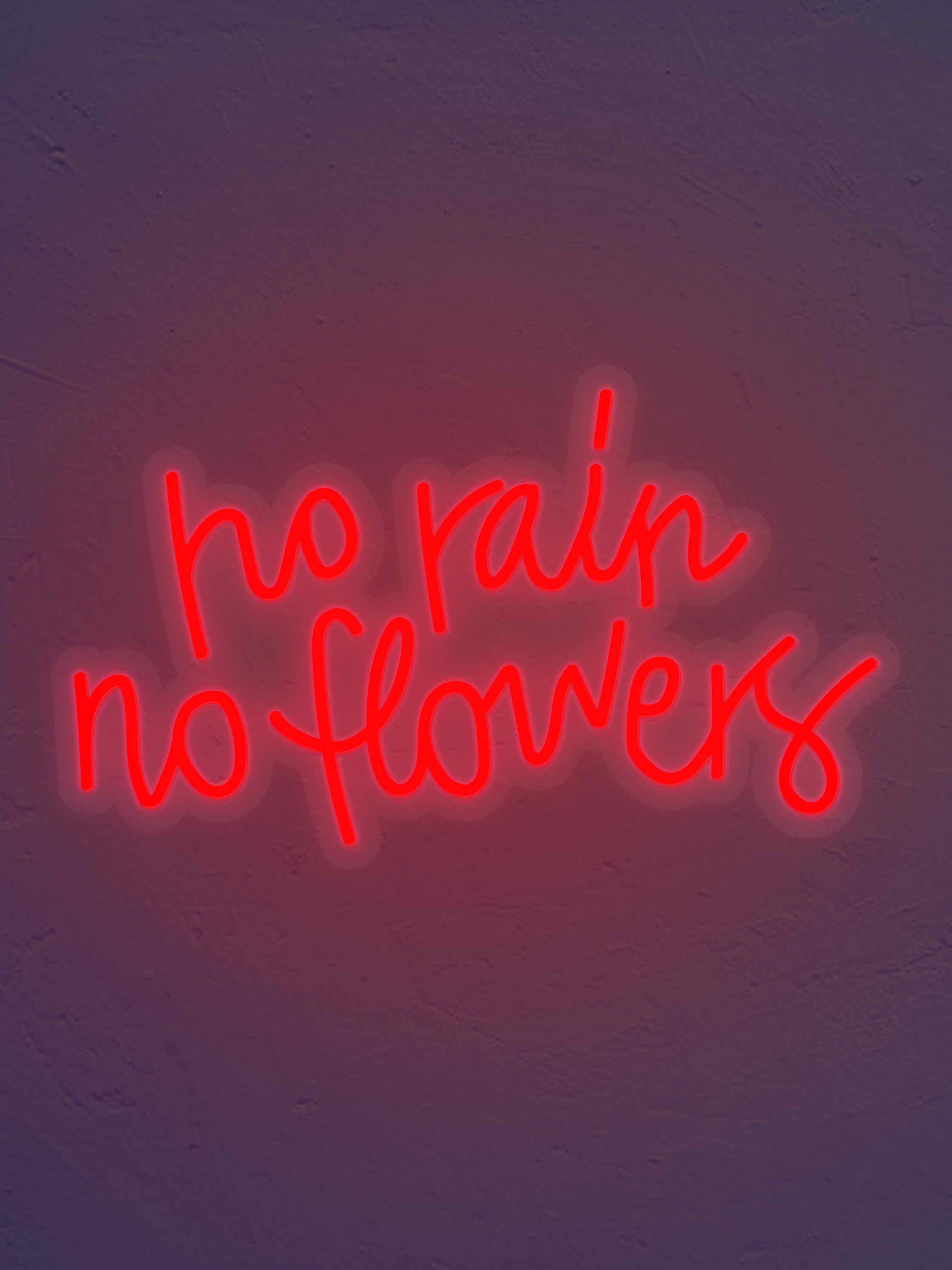 No Rain No flowers