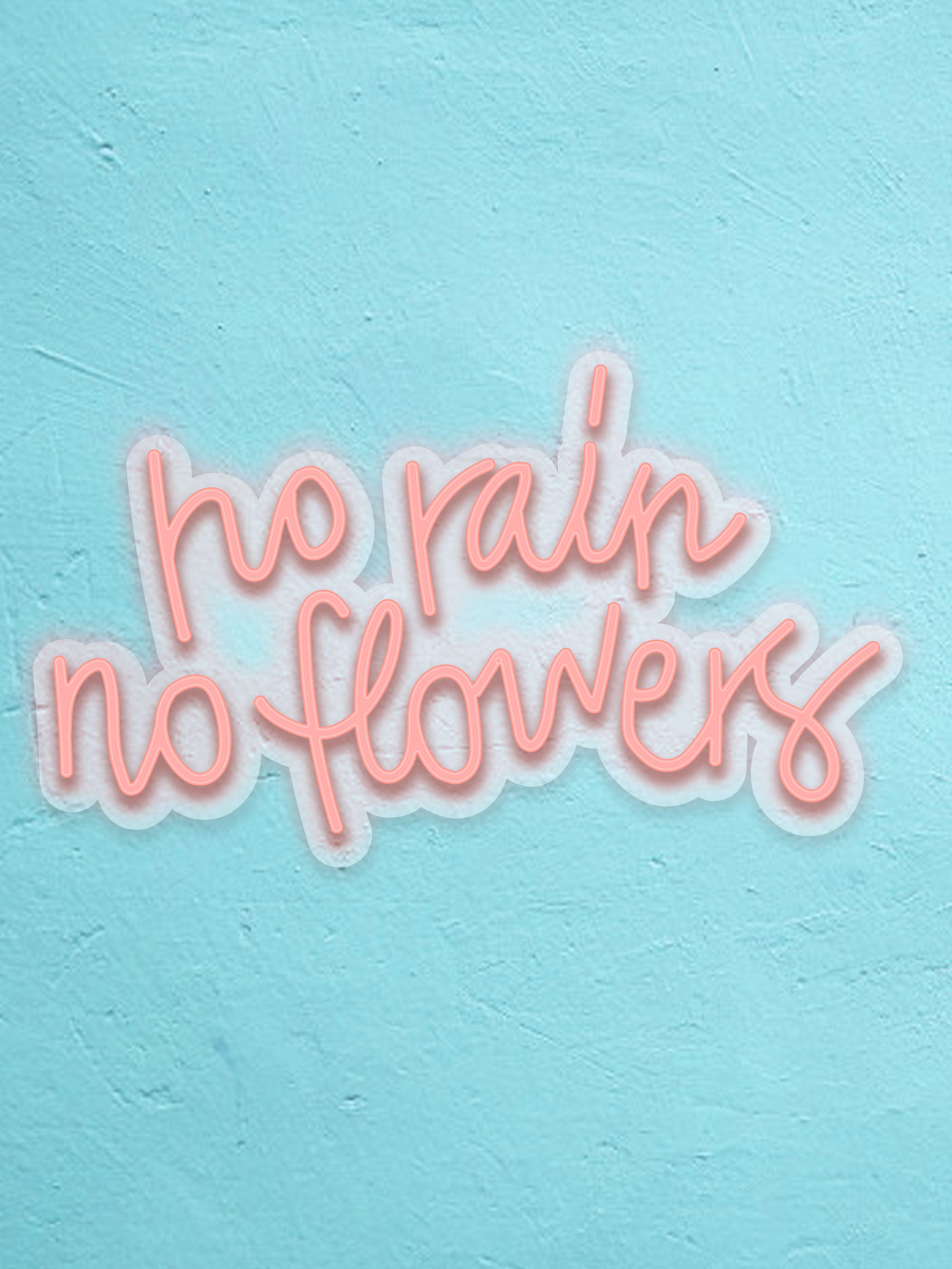 No Rain No flowers